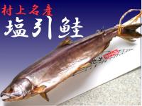 �u������