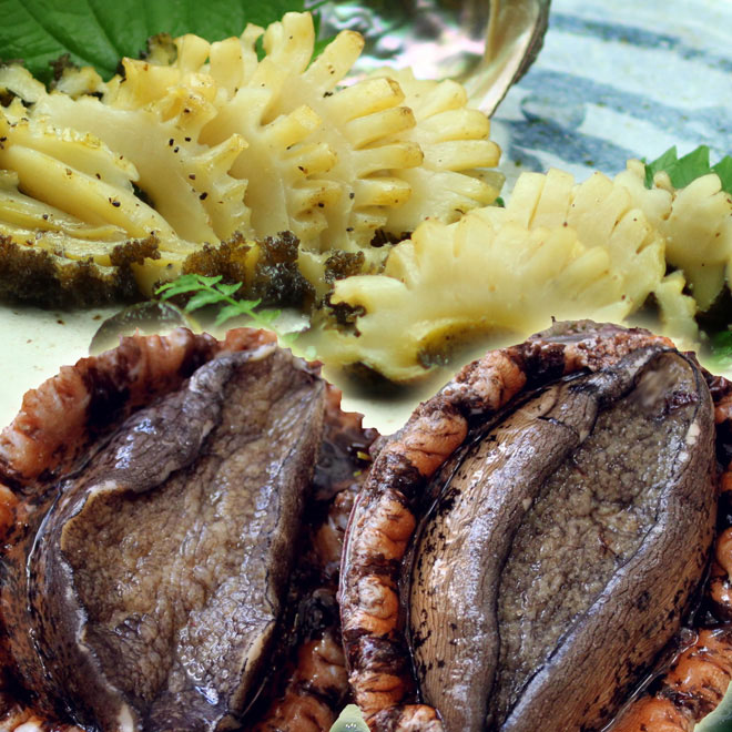 �V�R�����