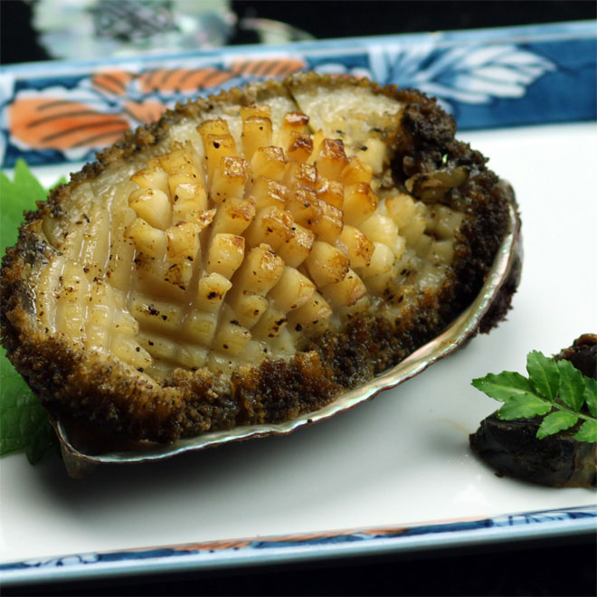 �V�R�����
