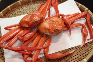 �g�Y���C�K�j