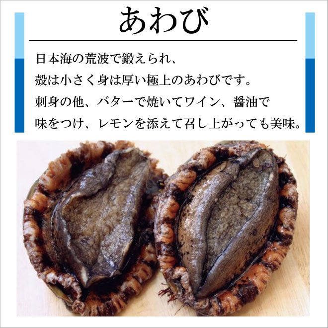 �V�R�����