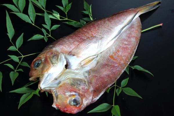 �Ñ�i�A�}�_�C�j�̈�銱�i����j