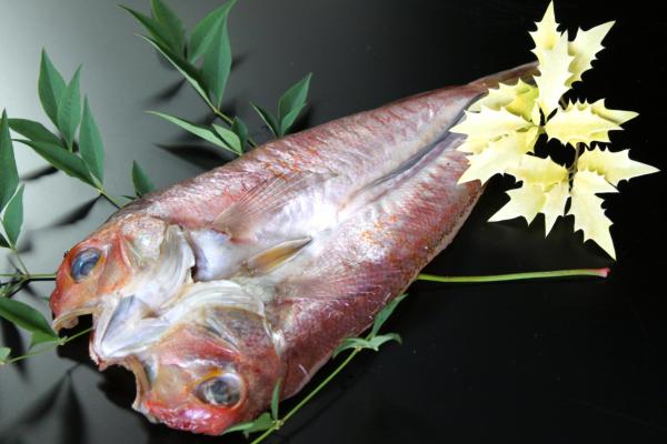 �V�����Y�Ñ�i�A�}�_�C�j�̈�銱�i����j