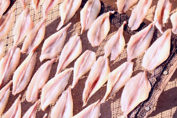 �����̈�銱