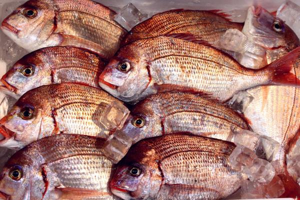 ����̈�銱