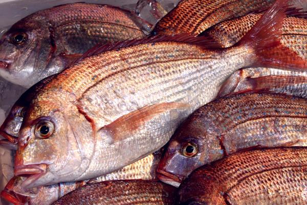 ����̈�銱