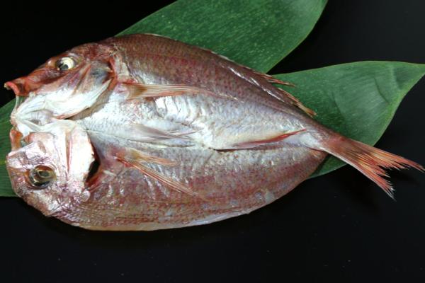 �V�����Y����i�A�}�_�C�j�̈�銱�i����j