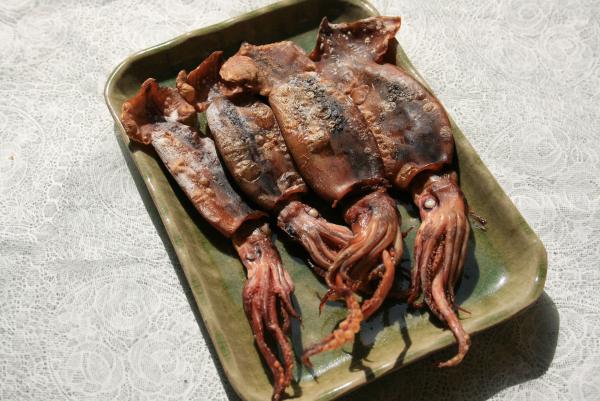 �V�������n�Y�ۊ�������