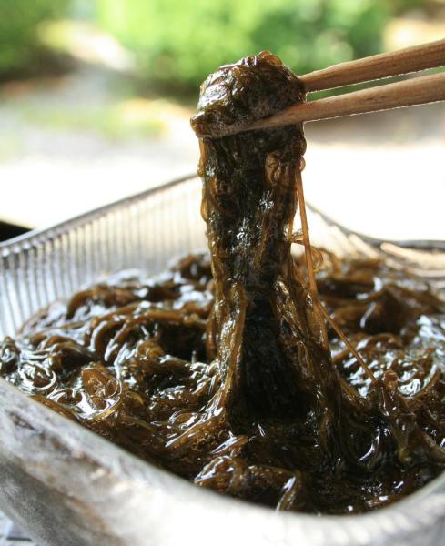 ��������