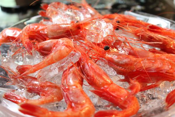 �ÊC�V,�C�V,���уG�r,�ÊC�V�h�g