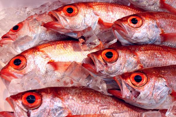 �̂ǂ���̈�銱