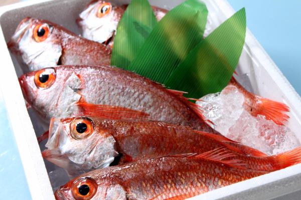 �̂ǂ���i�A�}�_�C�j�̈�銱�i����j