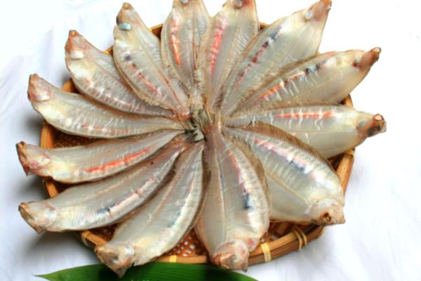 ��Ȃ����ꂢ��銱