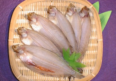 ���J���C