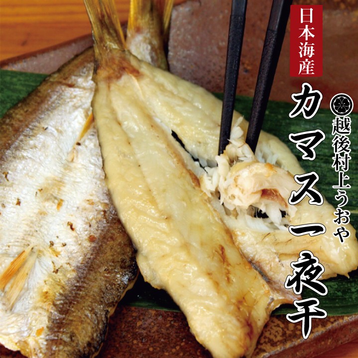 カマスの一夜干