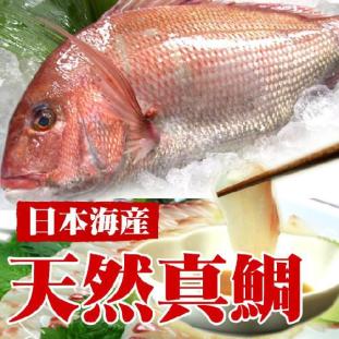 天然真鯛（1尾　1ｋｇ)  