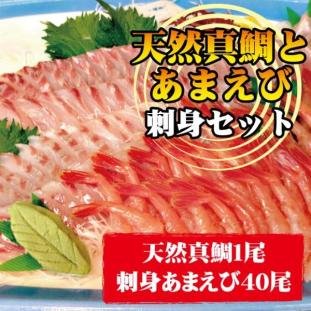 真鯛と甘海老の刺身 セット