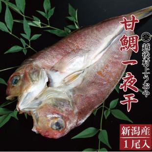 甘鯛（アマダイ）の一夜干（1尾）