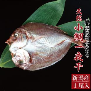 天然小鯛の一夜干（1尾）