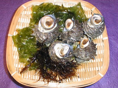 天然サザエ