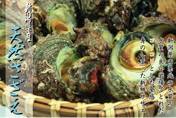 煮さざえ
